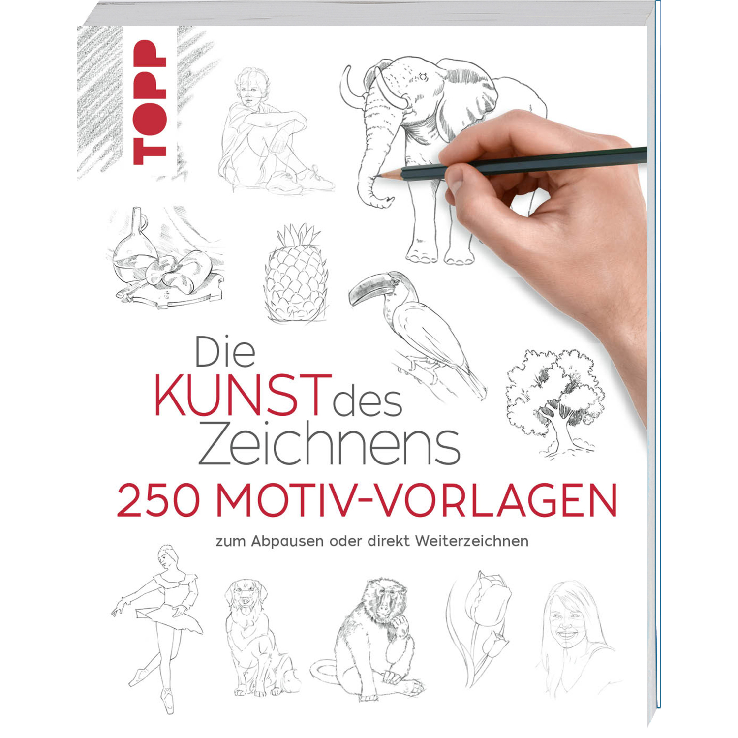 Die Kunst des Zeichnens 250 Motiv-Vorlagen: Hand zeichnet Elefant auf Buchcover von TOPP.
