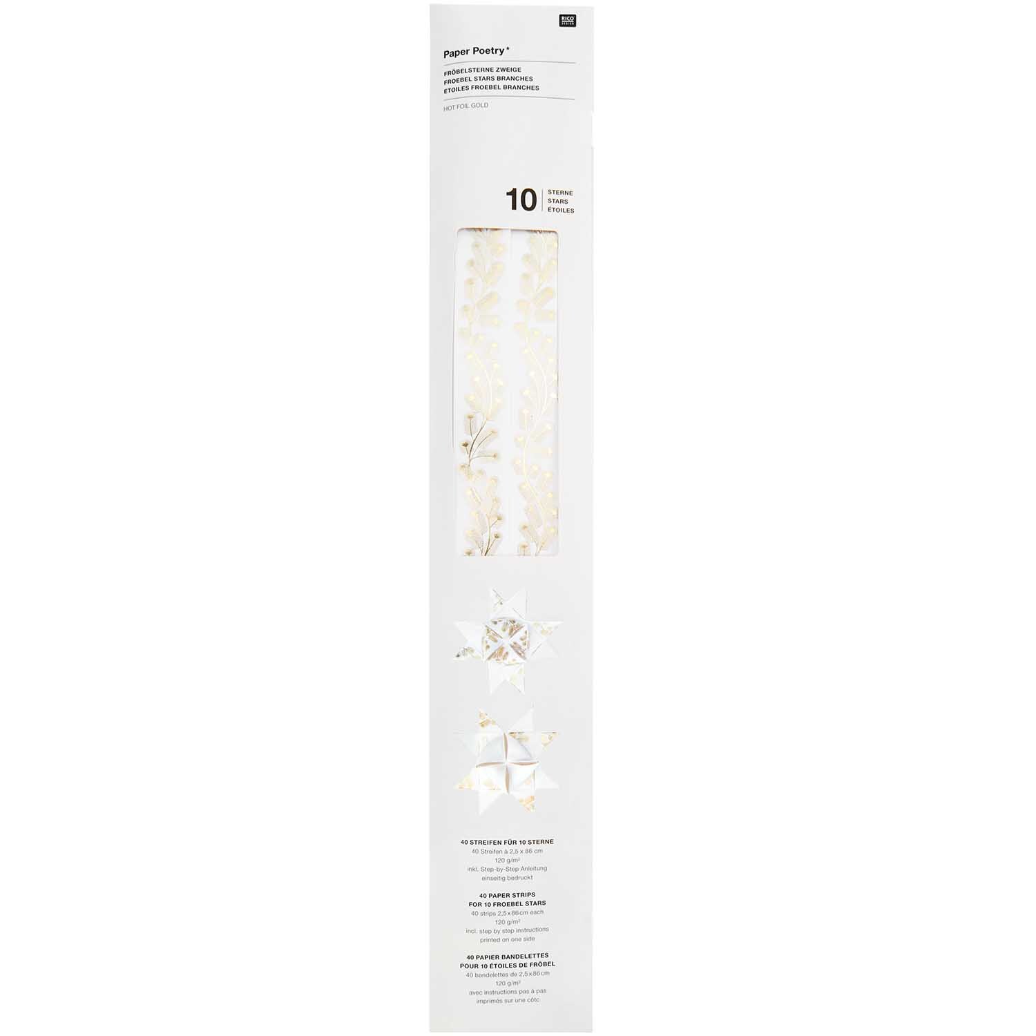 Paper Poetry Fröbelstreifen Zweige 120g/m2 40 Stück von Rico Design