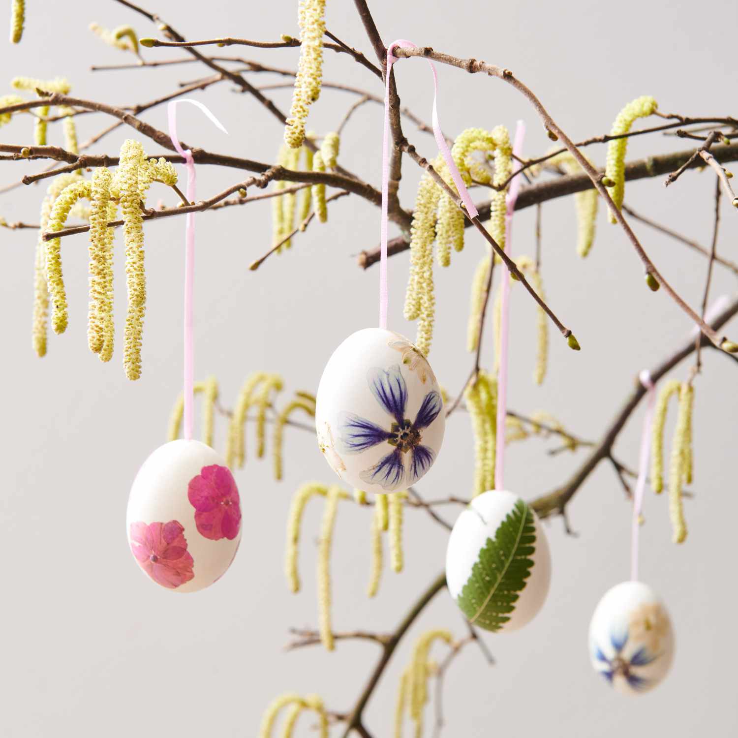Anleitung Ostereier mit gepressten Blüten gestalten: Weiße Eier mit bunten Blüten an Zweigen hängend.