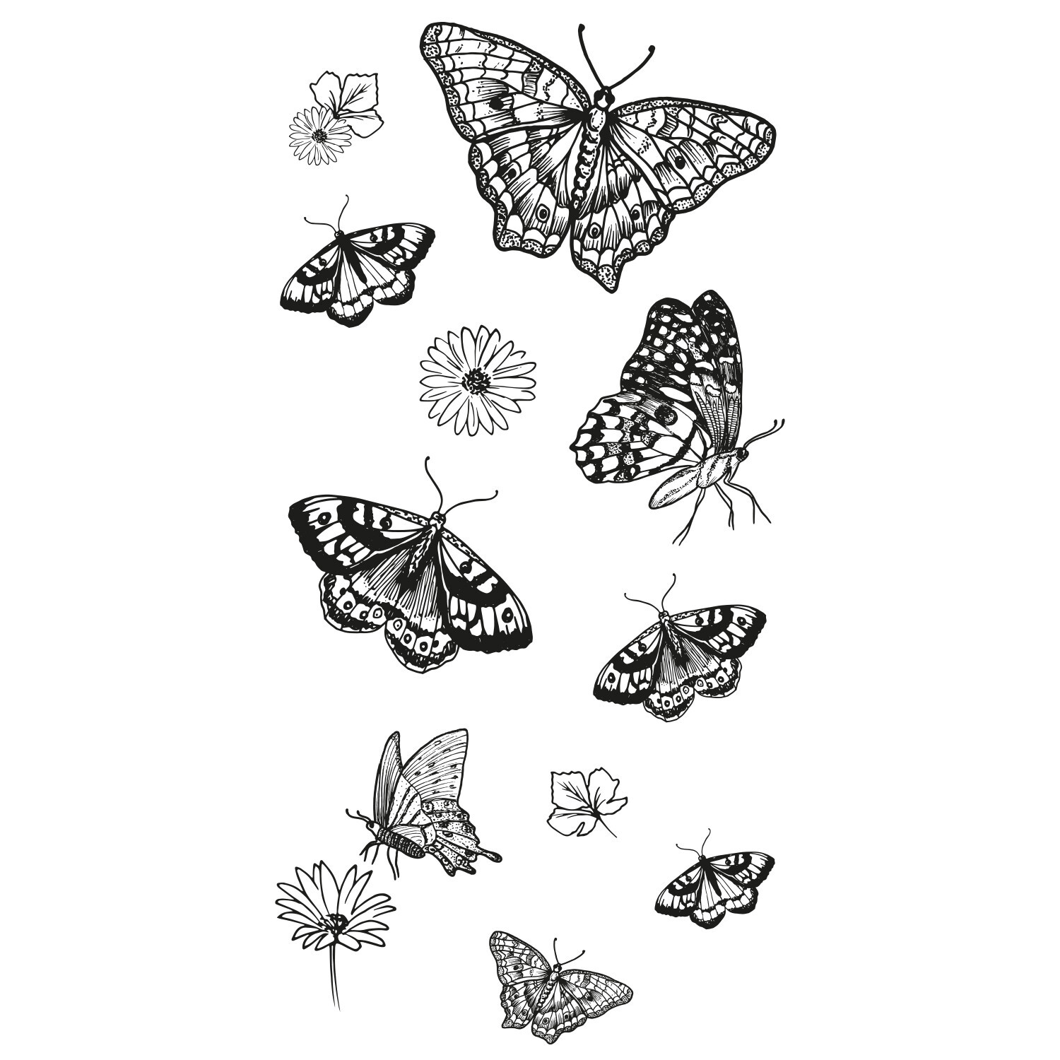 Klarsichtstempel-Set "Nature Butterflies" 13-teilig von idee. Creativmarkt