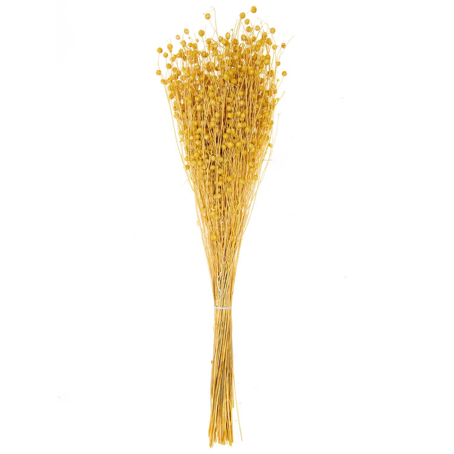 Getrockneter Flachs gelb 60-75cm 100g von Rico Design, zeigt einen Strauß gelber Flachsstängel.