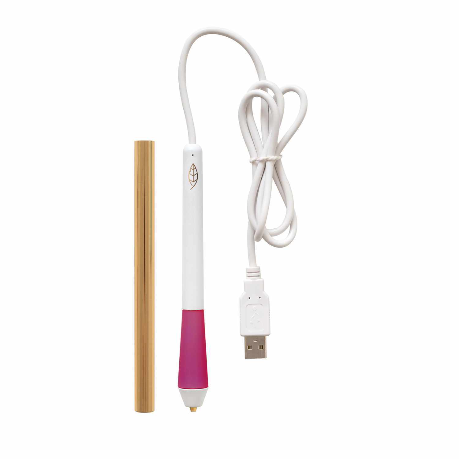 Foil Quill Kalligraphie Spitze Freestyle Pen mit USB-Kabel und goldener Hülle, ideal für kreative Projekte.