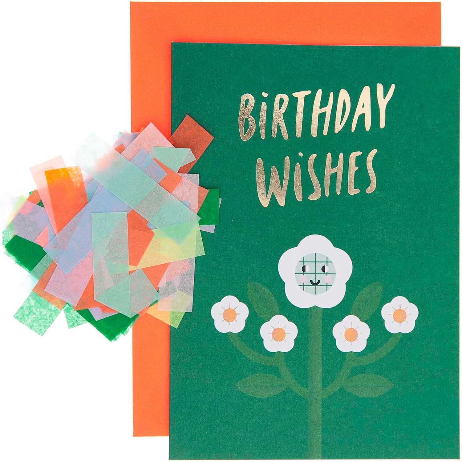 Paper Poetry Grußkartenset Birthday Wishes mit grünem Design, Blumenmotiv und buntem Konfetti.