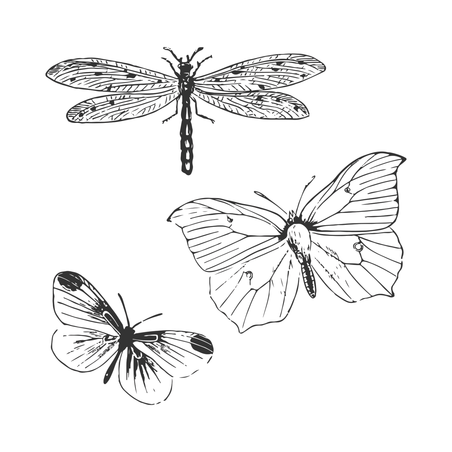 Framelits Die Set Stamps Engraved Wings 3PK zeigt detaillierte Gravuren von Libelle und Schmetterlingen. Marke: Sizzix. Ideal für kreative Projekte.