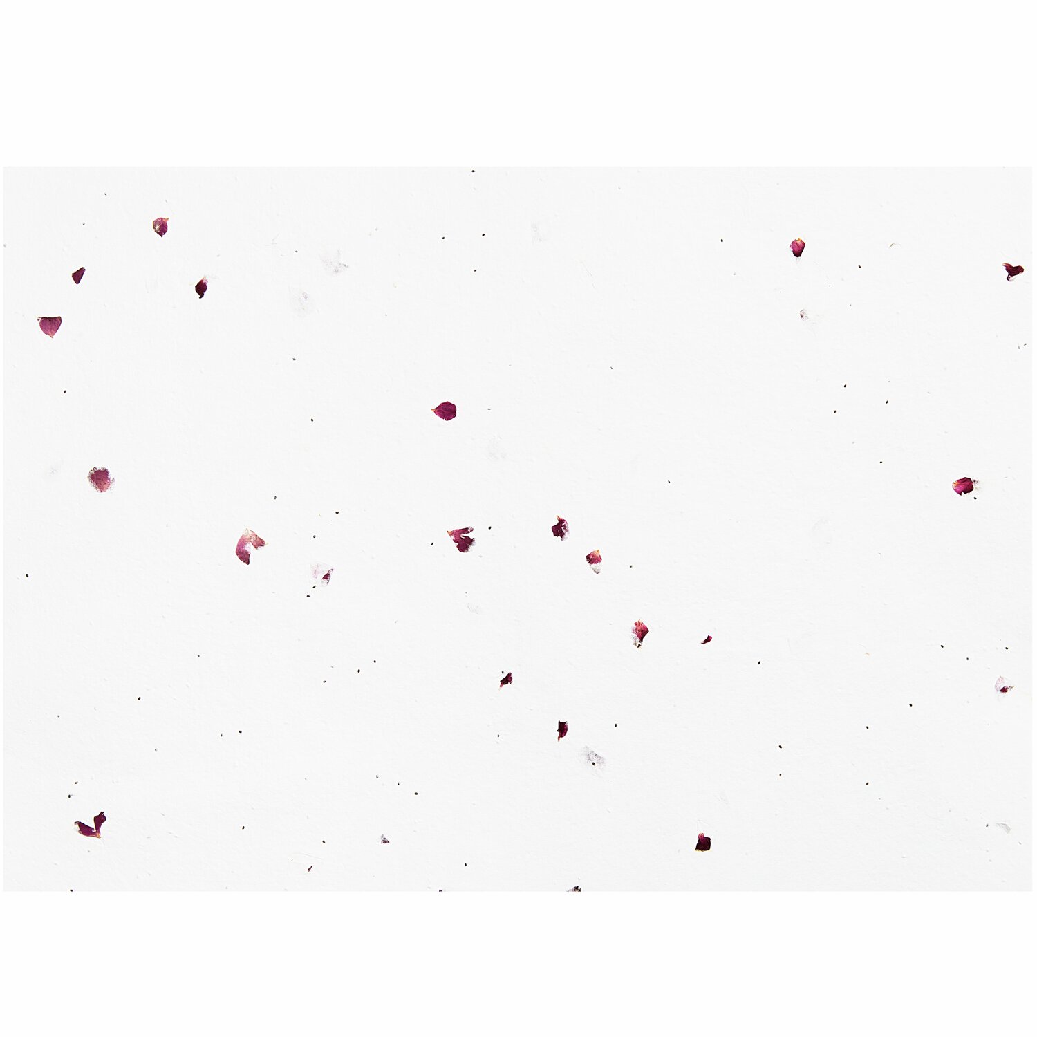 Paper Poetry Bastelbogen mit Rosenblüten auf weißem Baumwollpapier, 50x70cm, von Rico Design.