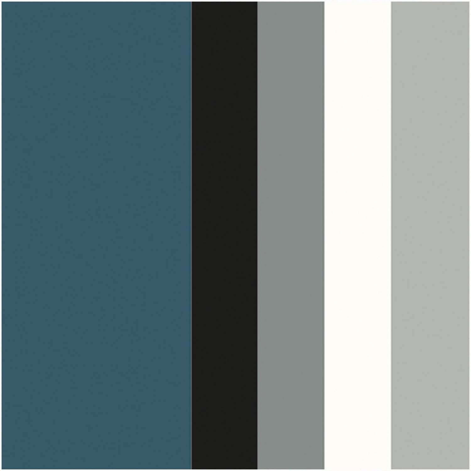 Wachsplatten sortiert 10x20cm 5 Stück von efco in verschiedenen Farben: Blau, Schwarz, Grau, Weiß und Hellgrau. Ideal für kreative Projekte.