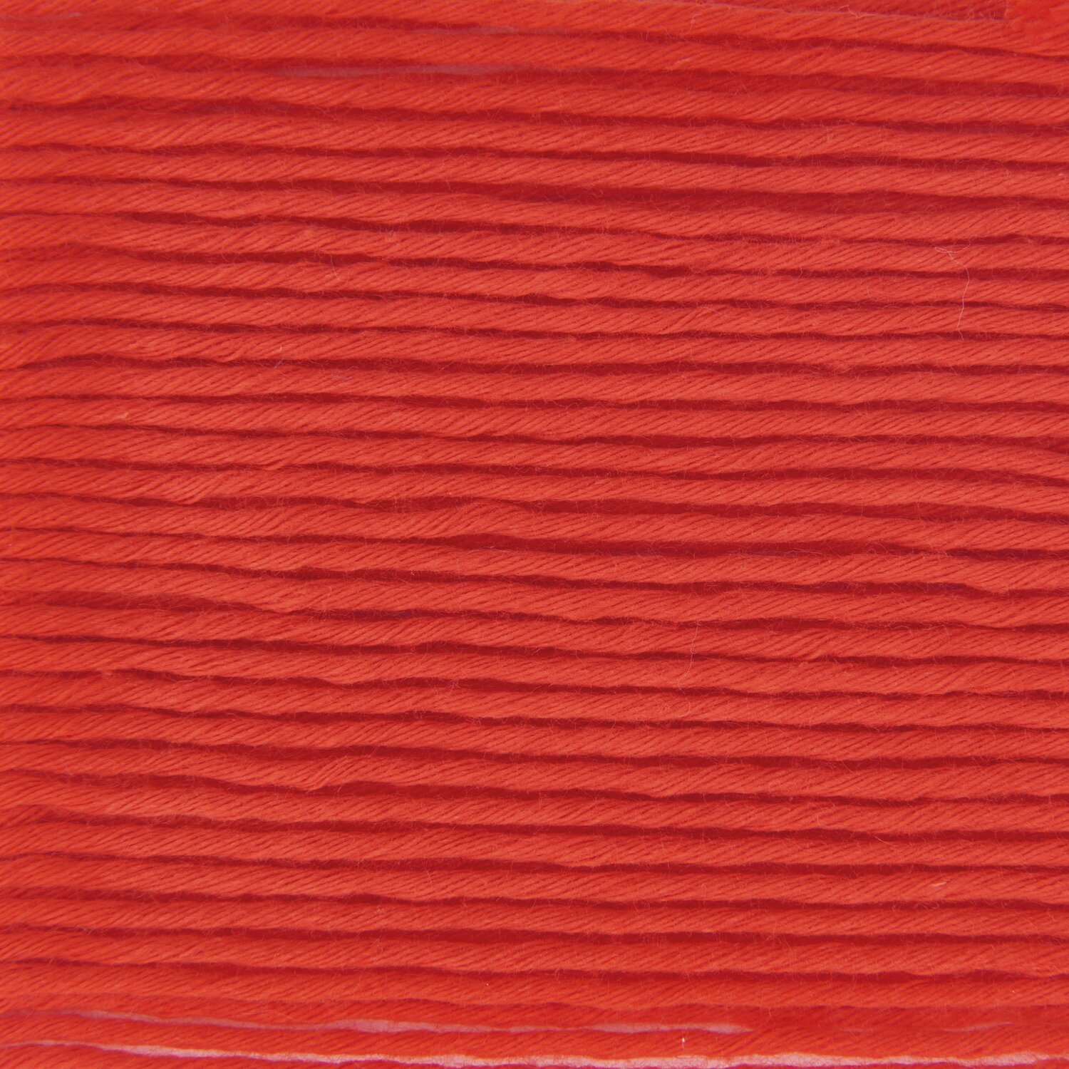 Rot