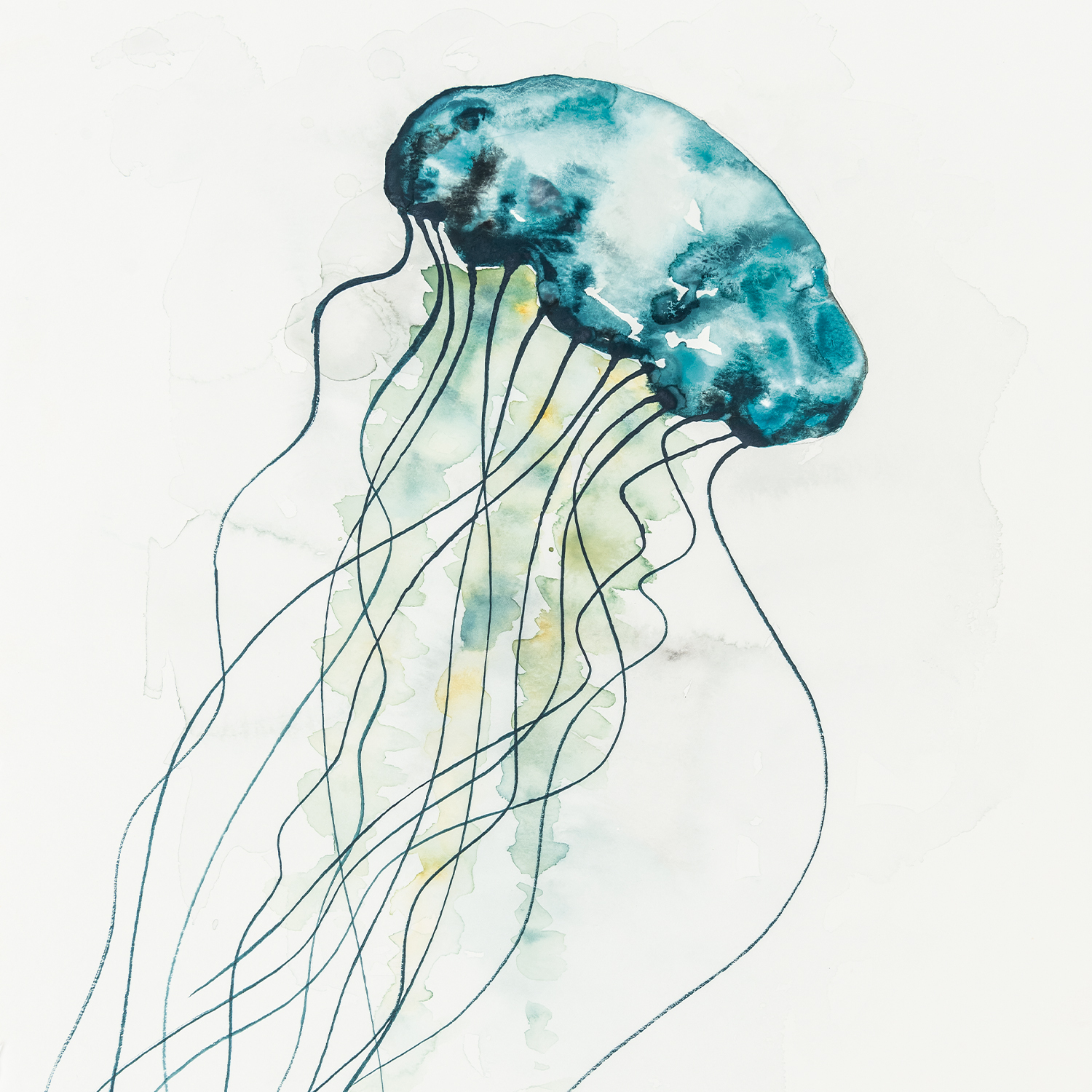 Anleitung Quallen aquarellieren von Rico Design