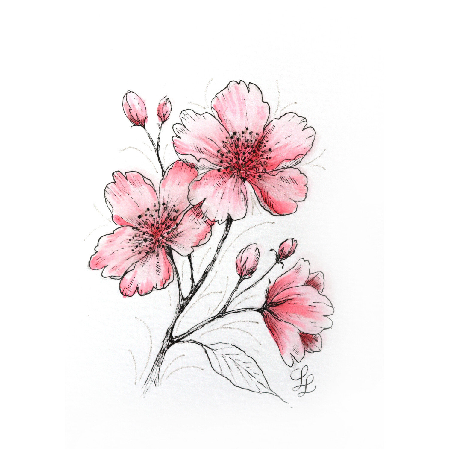 Kreativ-Set Kirschblüte von Royal Talens
