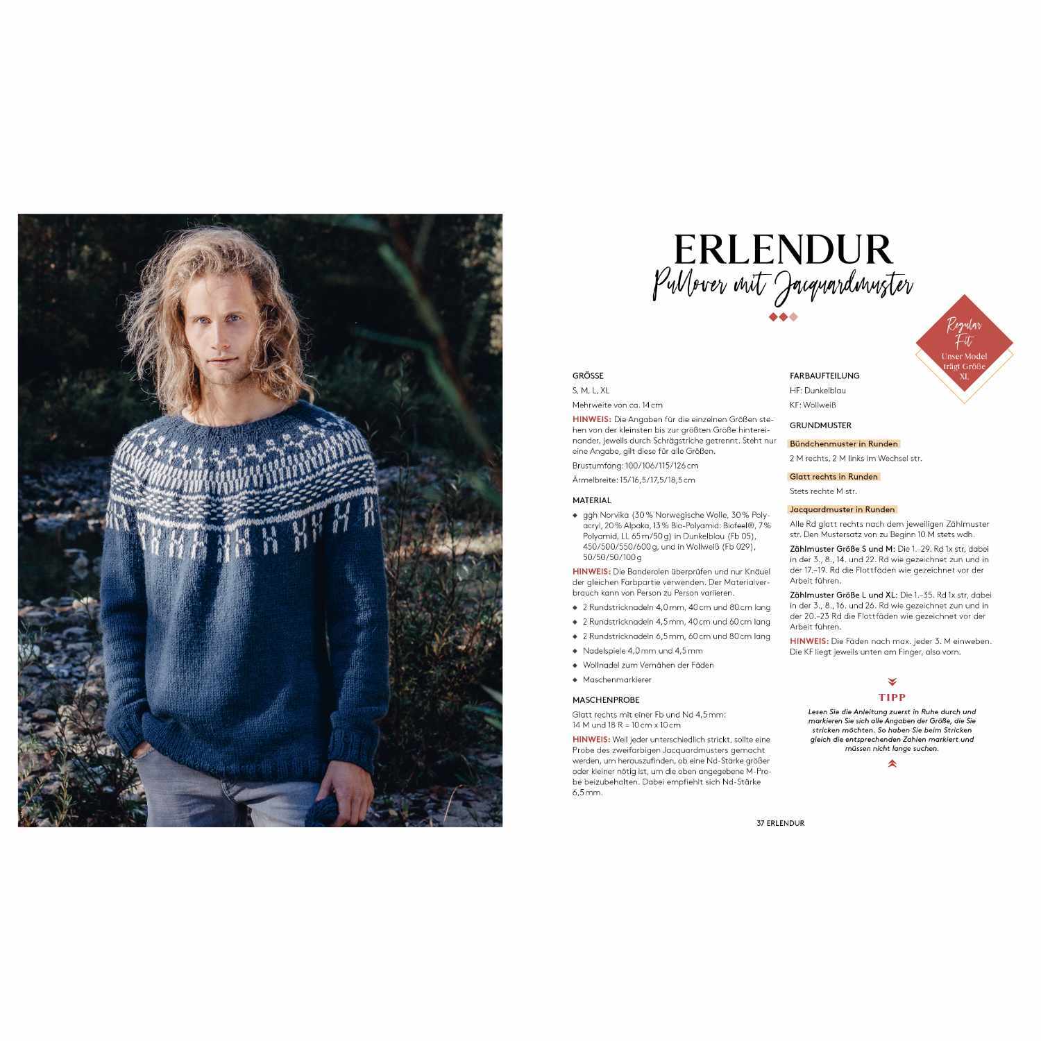 Islandpullover stricken von Edition Michael Fischer 
