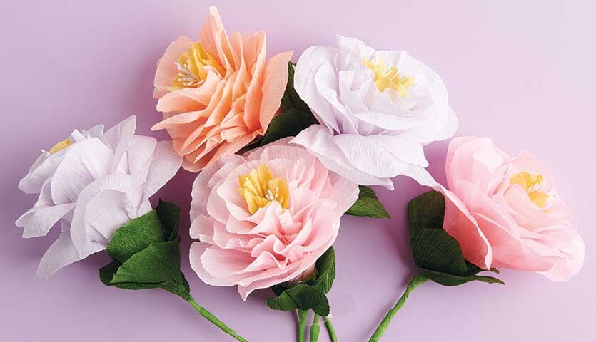 Bastelanleitung Papierblumen: Sechs farbenfrohe Papierblumen in Rosa- und Weißtönen mit grünen Blättern.