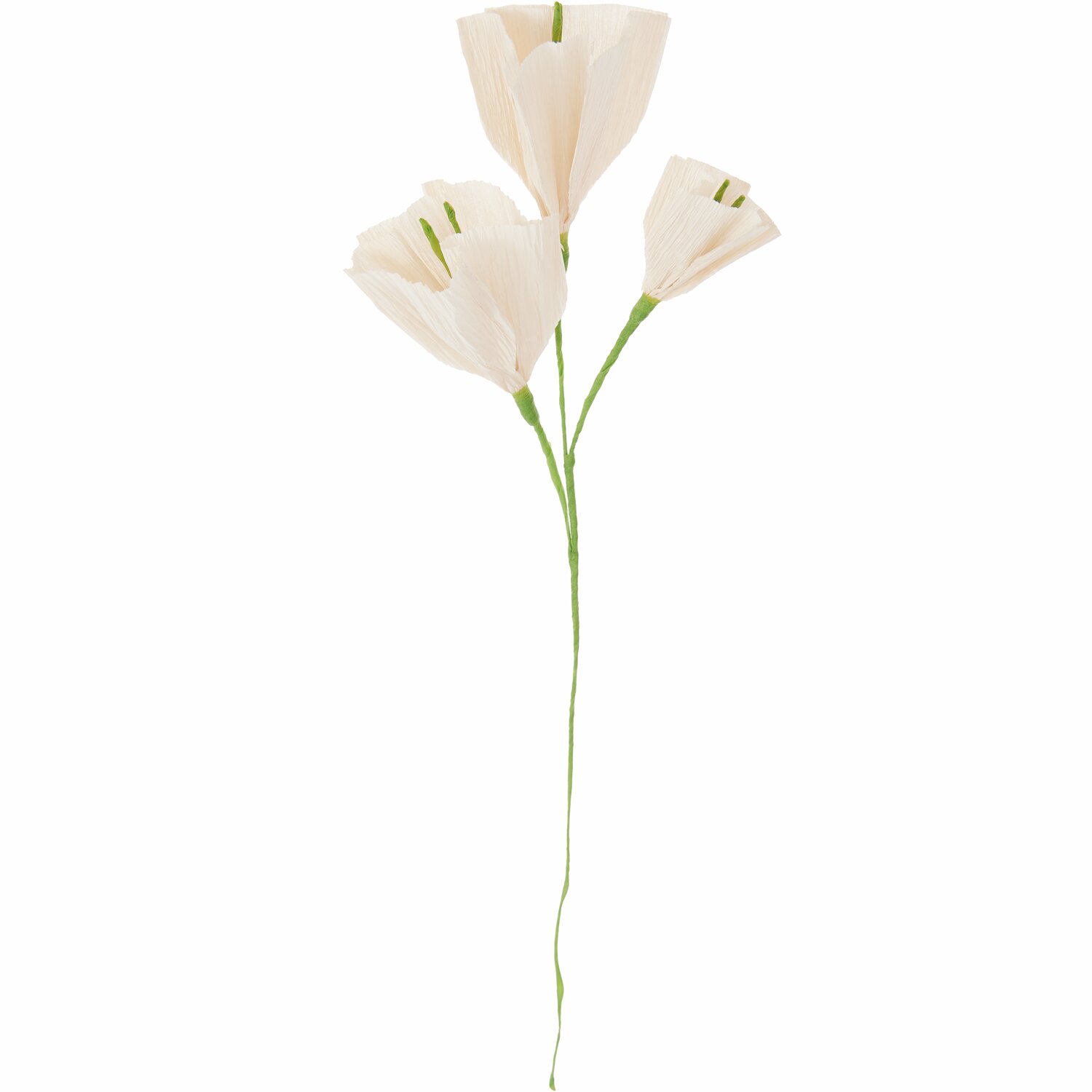 Papierblume Prunkwinde Powder von Rico Design in zartem Farbton, dekorativ und detailreich gestaltet.