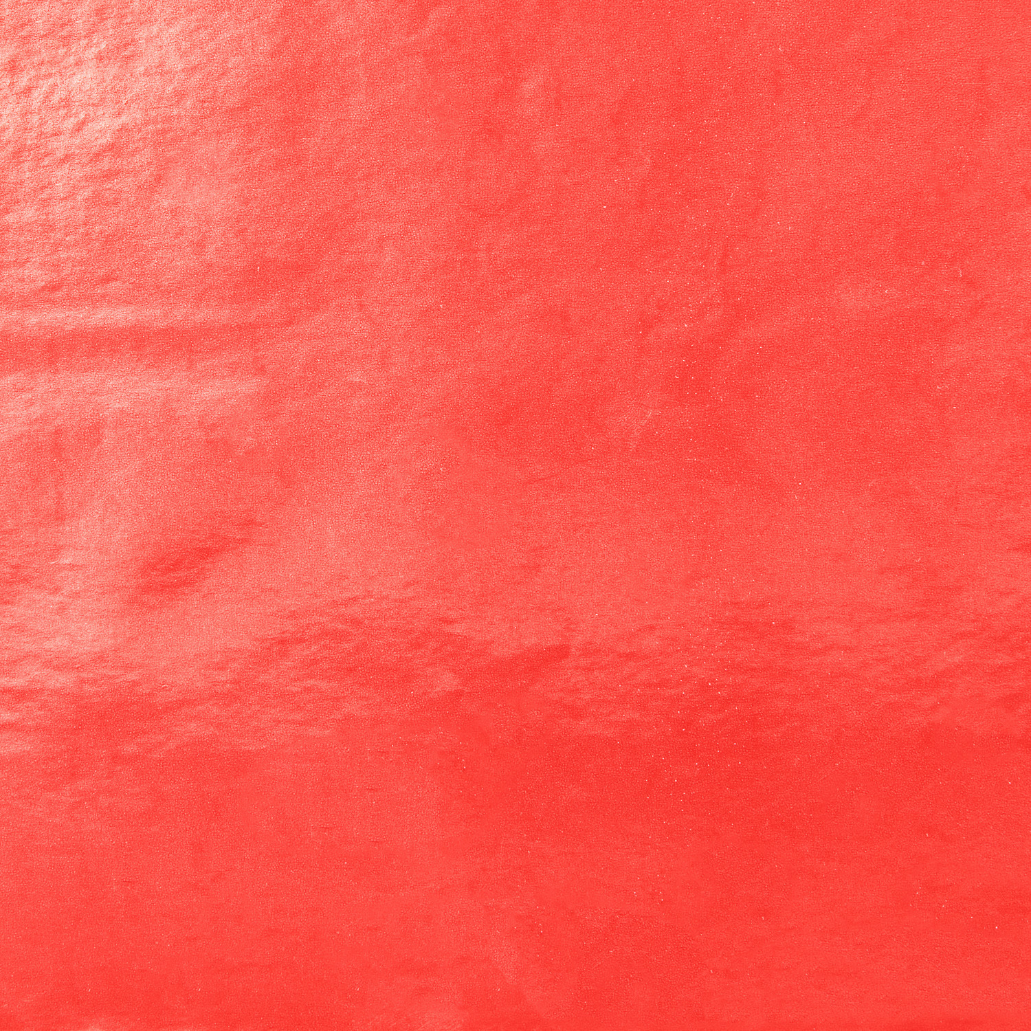 Rot