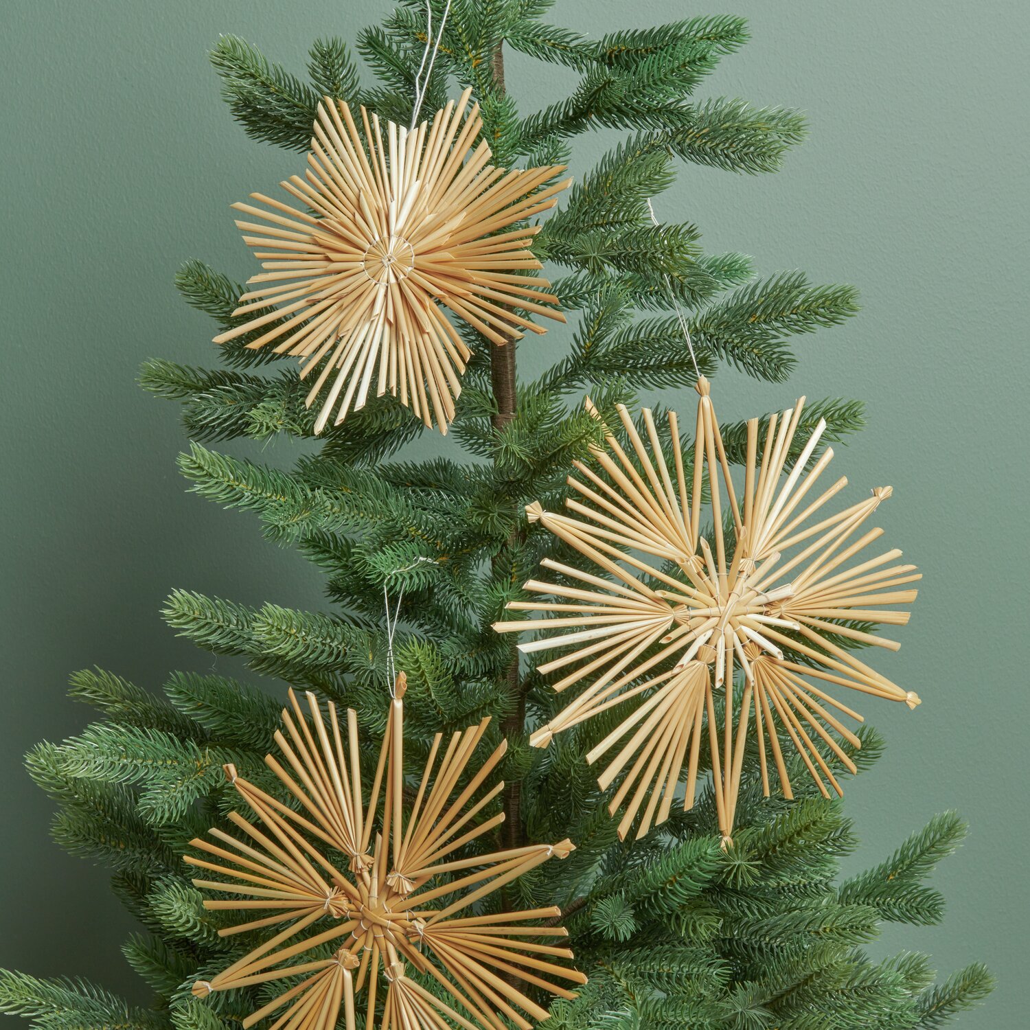 Put a Bow on It Strohstern groß: Drei natürliche Strohsterne hängen an einem grünen Tannenbaum.