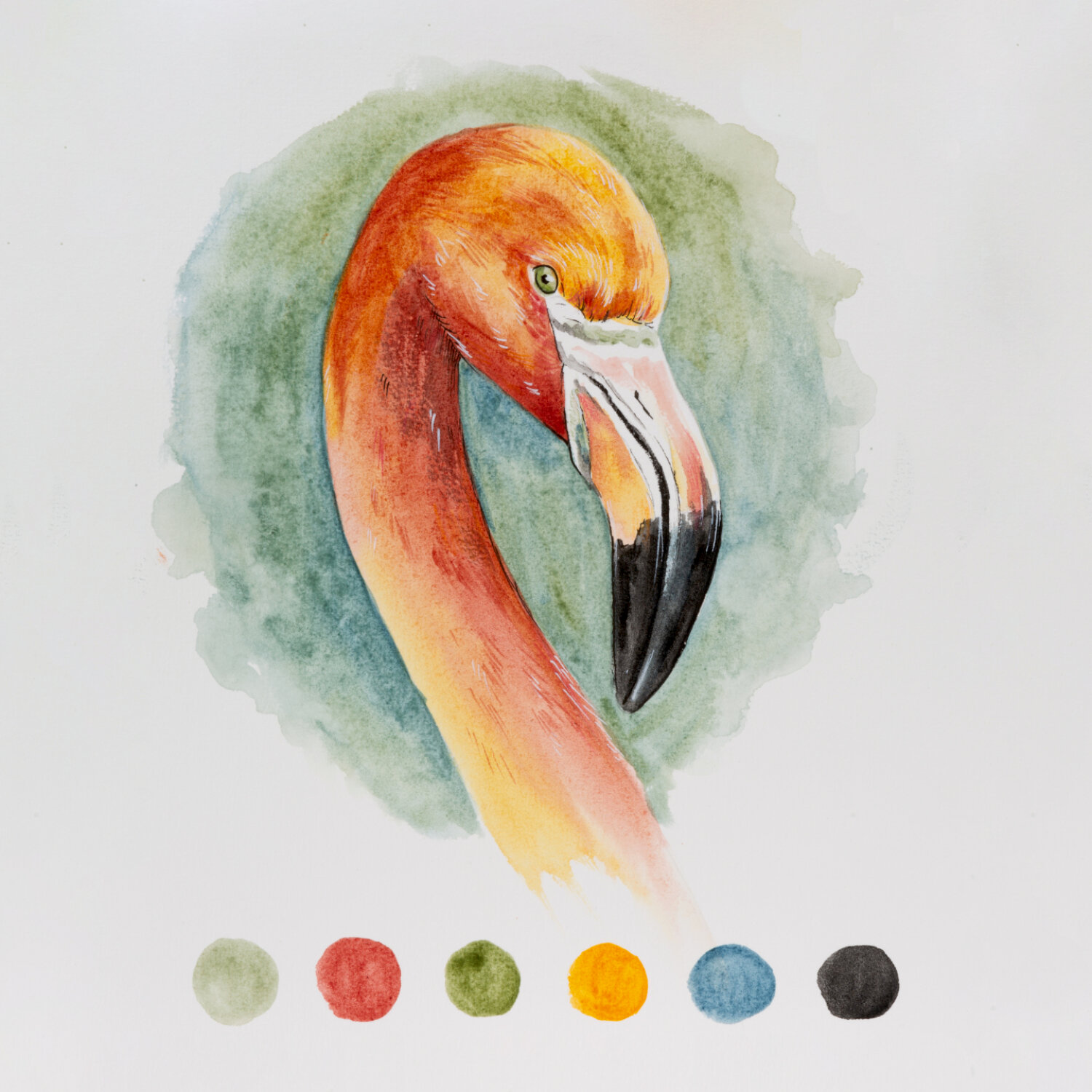 Horadam Naturals Aquarell zeigt einen Flamingo in warmen Farben vor grünem Hintergrund. Darunter sind fünf Farbmuster.