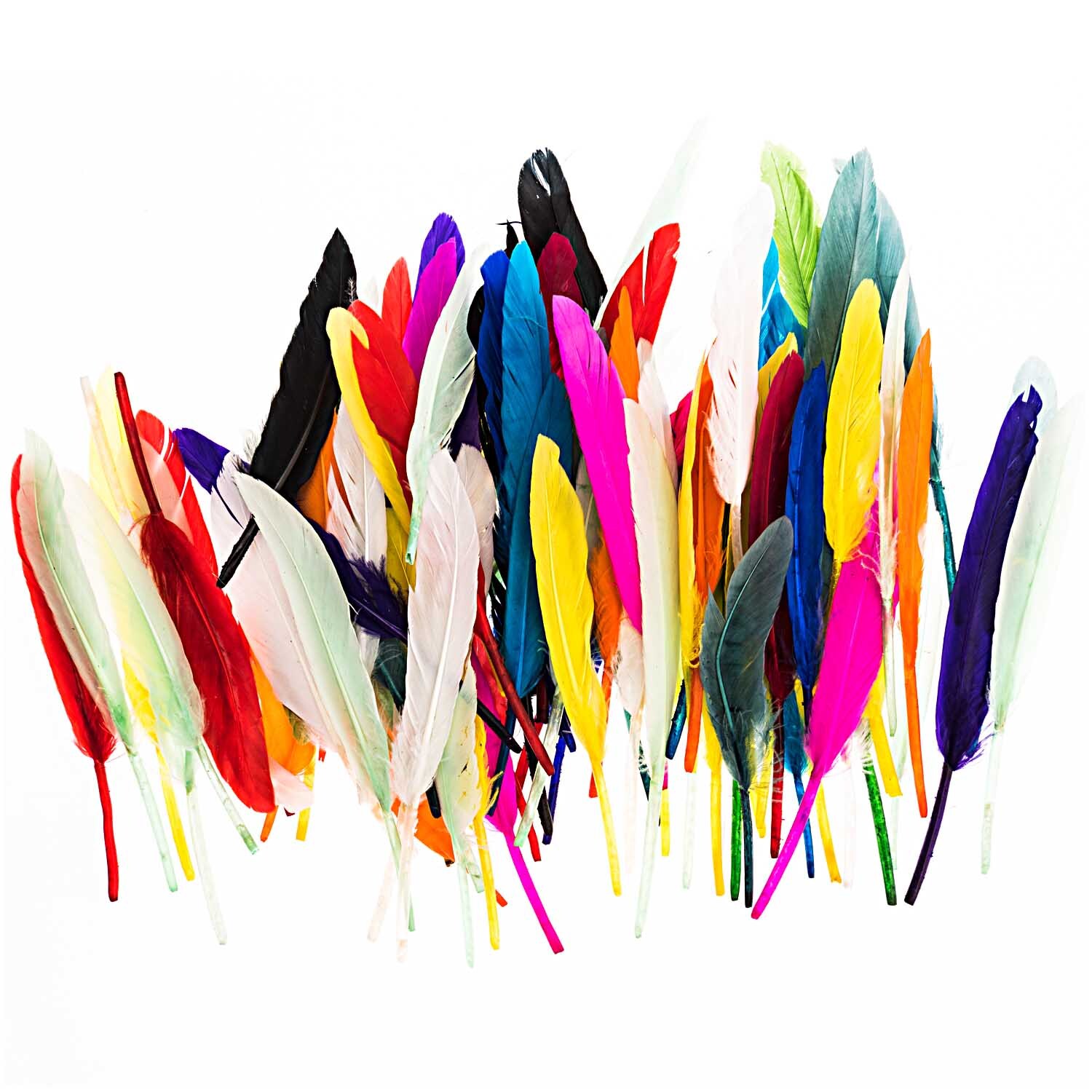 Federn Mix 100g: Bunte Federn in verschiedenen Farben, ideal für kreative Bastelprojekte.