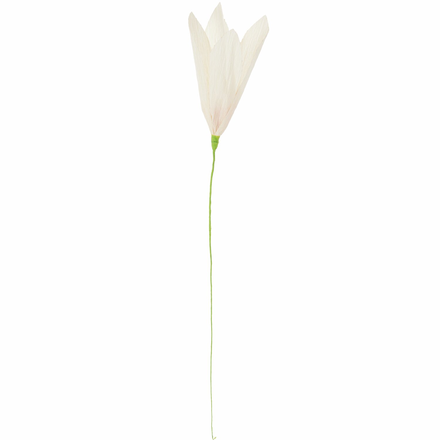 Papierblume Krokus Creme von Rico Design: Elegante, cremefarbene Blume mit langem, schlankem Stiel.