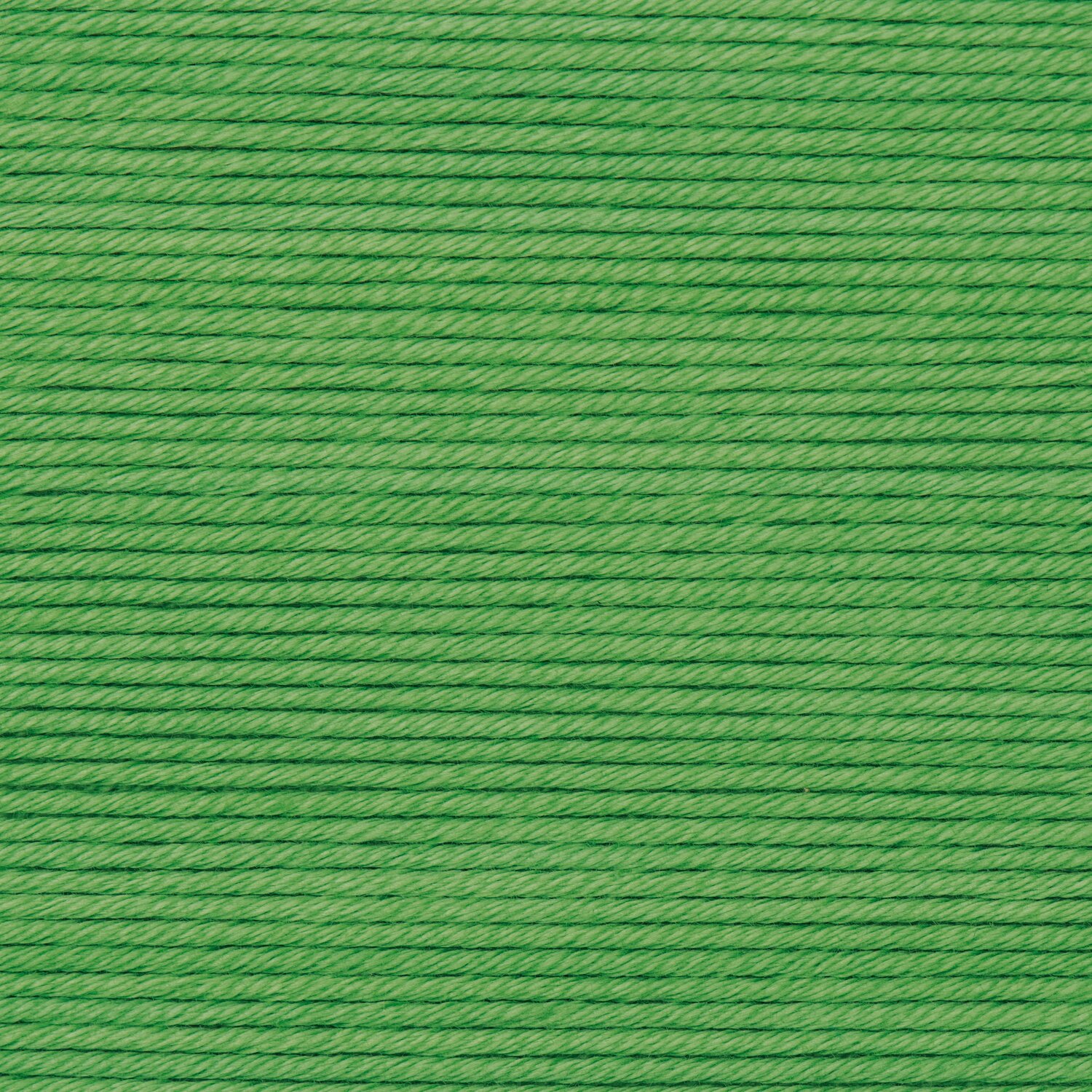 Wickelkarte des Garns Essentials Cotton dk in der Farbe 66 Gras.