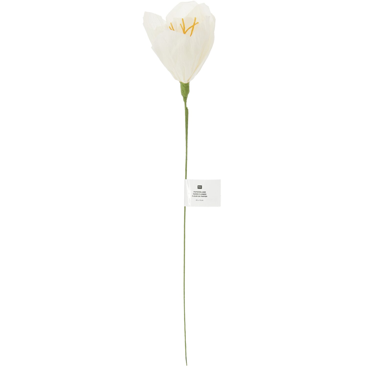 Papierblume Narzisse 45x15cm Farbe Offwhite von Rico Design