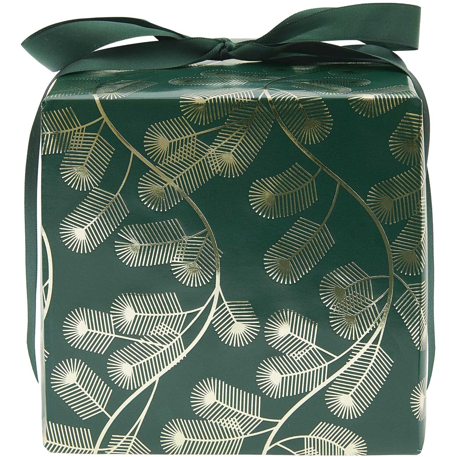 Paper Poetry Geschenkpapier mit Tannenzweigen-Muster, 200x70cm, zeigt ein elegantes Design in Grün. Perfekt für festliche Anlässe.