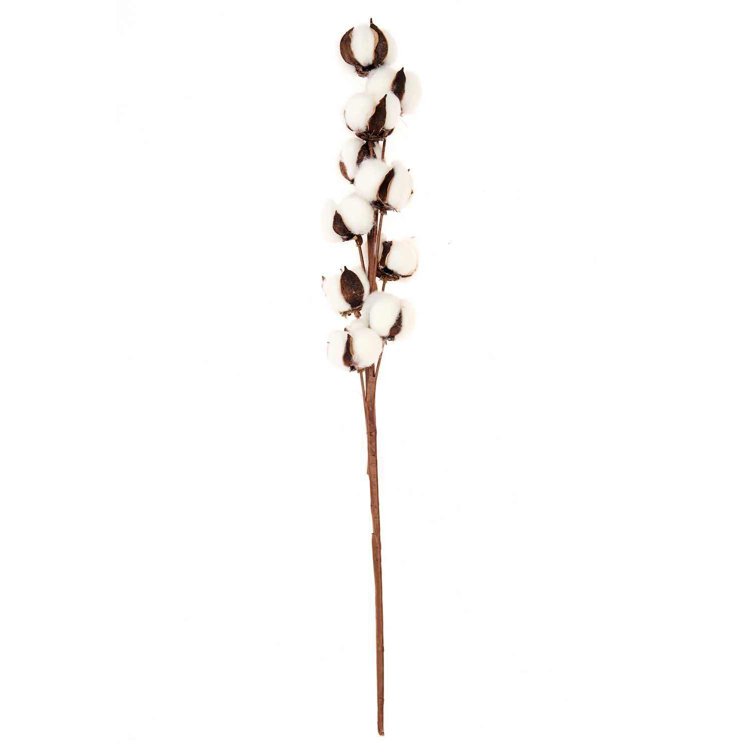 Baumwollzweig mit 10 weißen Blüten, 70 cm lang, von Rico Design. Ideal für Dekorationen.