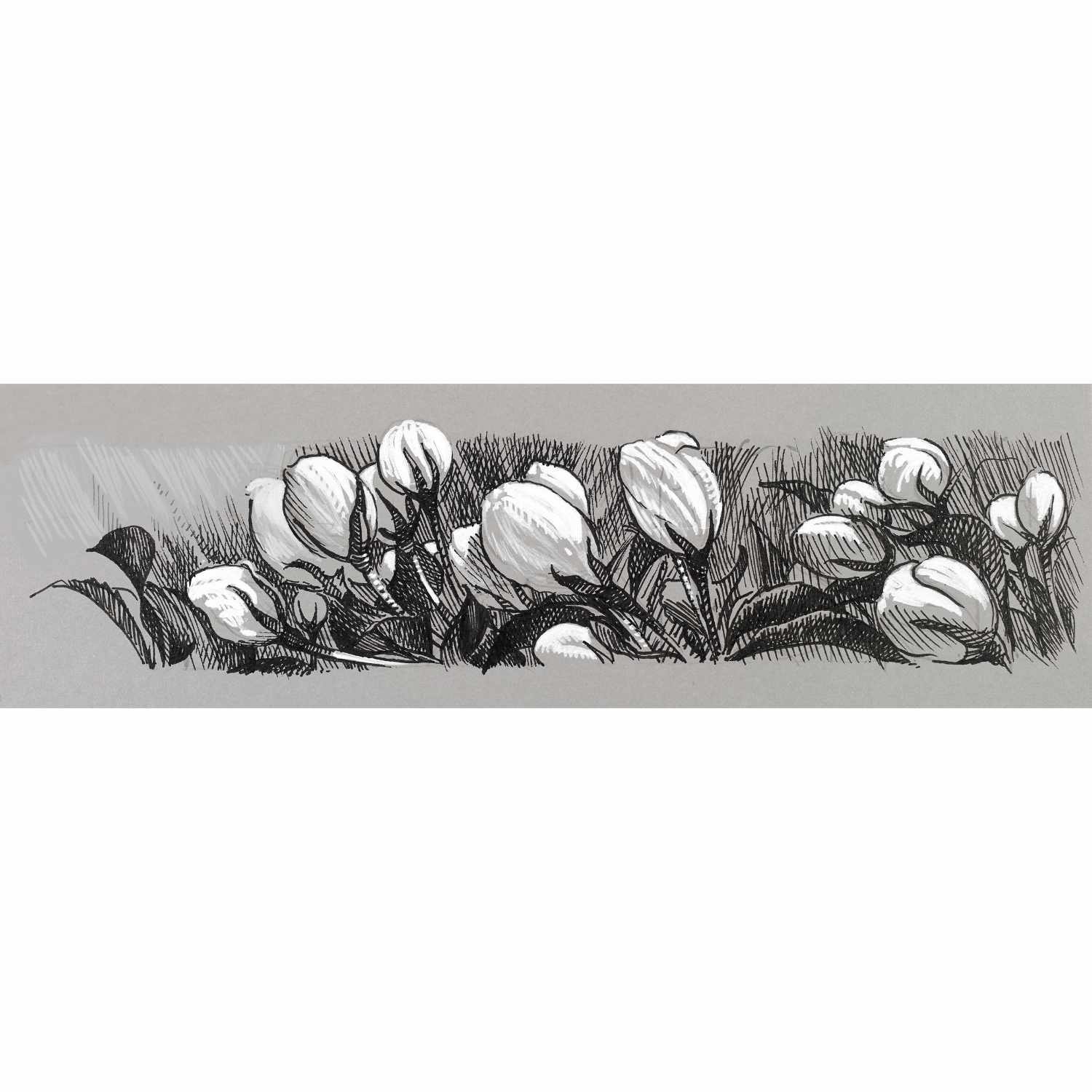 Tuschestift Pitt Artist Pen Black & White 4 Stück: Zeichnung von Blumen in Schwarz-Weiß, ideal für kreative Projekte.
