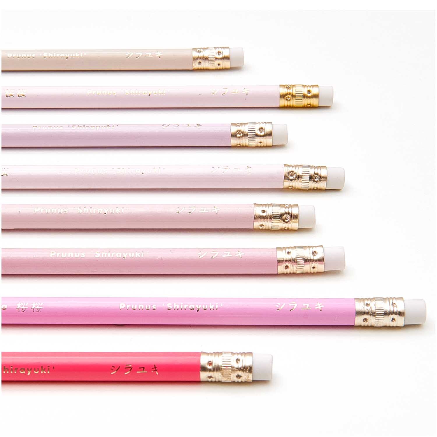 Paper Poetry Bleistifte All shades of Sakura 8er-Set in Rosa von Rico Design, elegant arrangiert.
