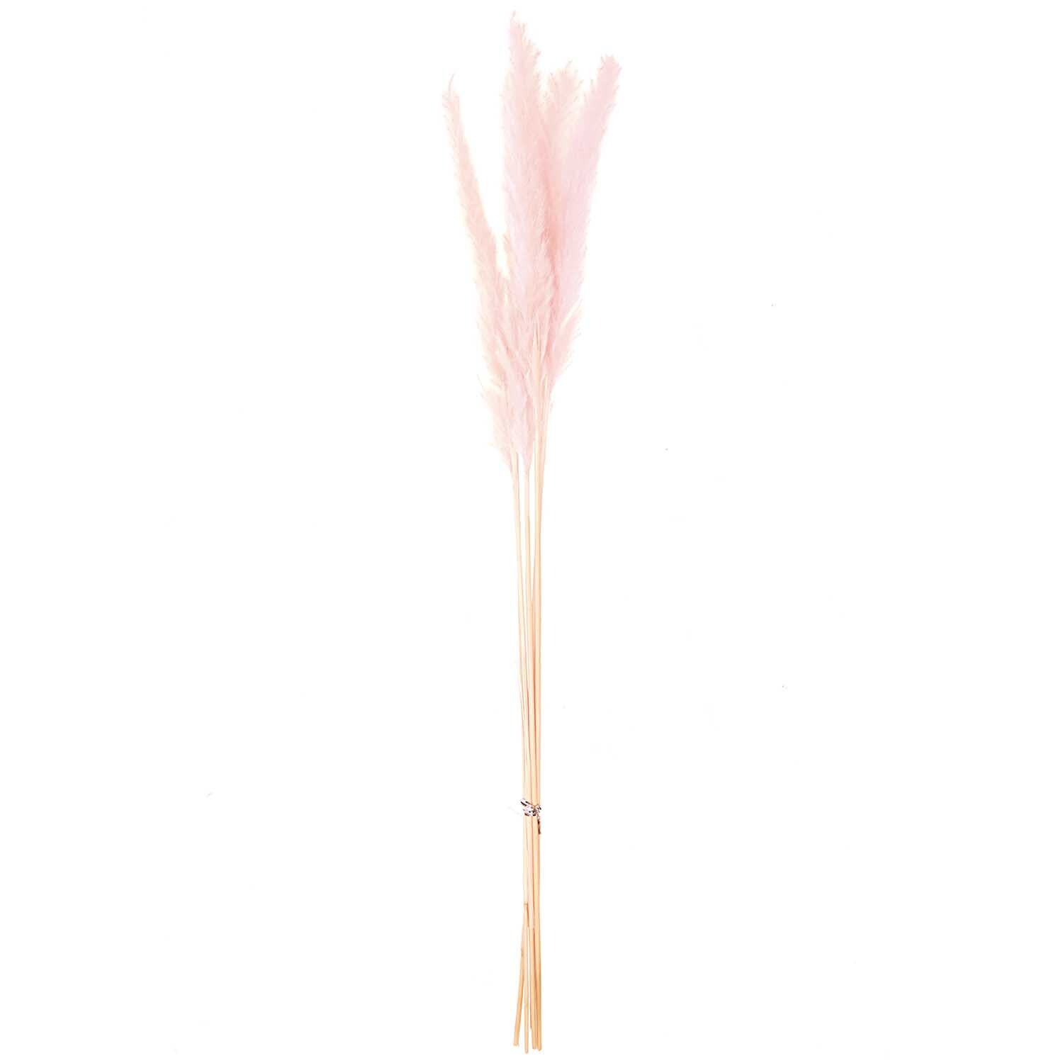 Getrocknetes Pampasgras in zartem Rosa, 65-75 cm, 6 Stück von Rico Design, elegant arrangiert.
