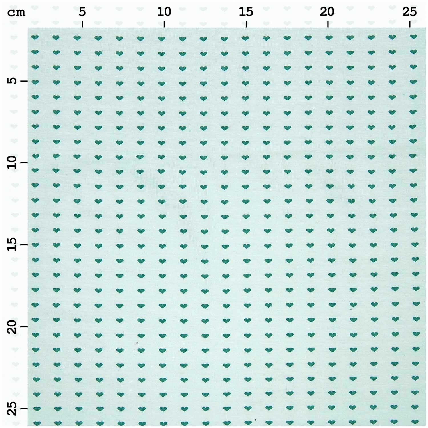 Jerseystoff Happy Baby Herzchen mint 145cm von Rico Design