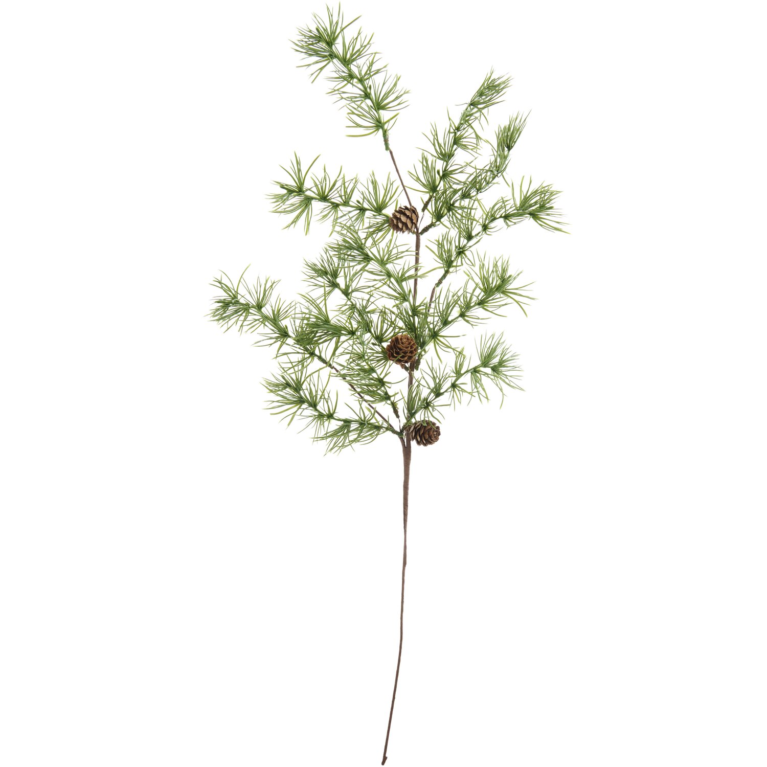 Lärchenzweig mit Zapfen, 68cm, von Rico Design. Natürlicher Zweig mit grünen Nadeln und braunen Zapfen. Ideal für Dekorationen.