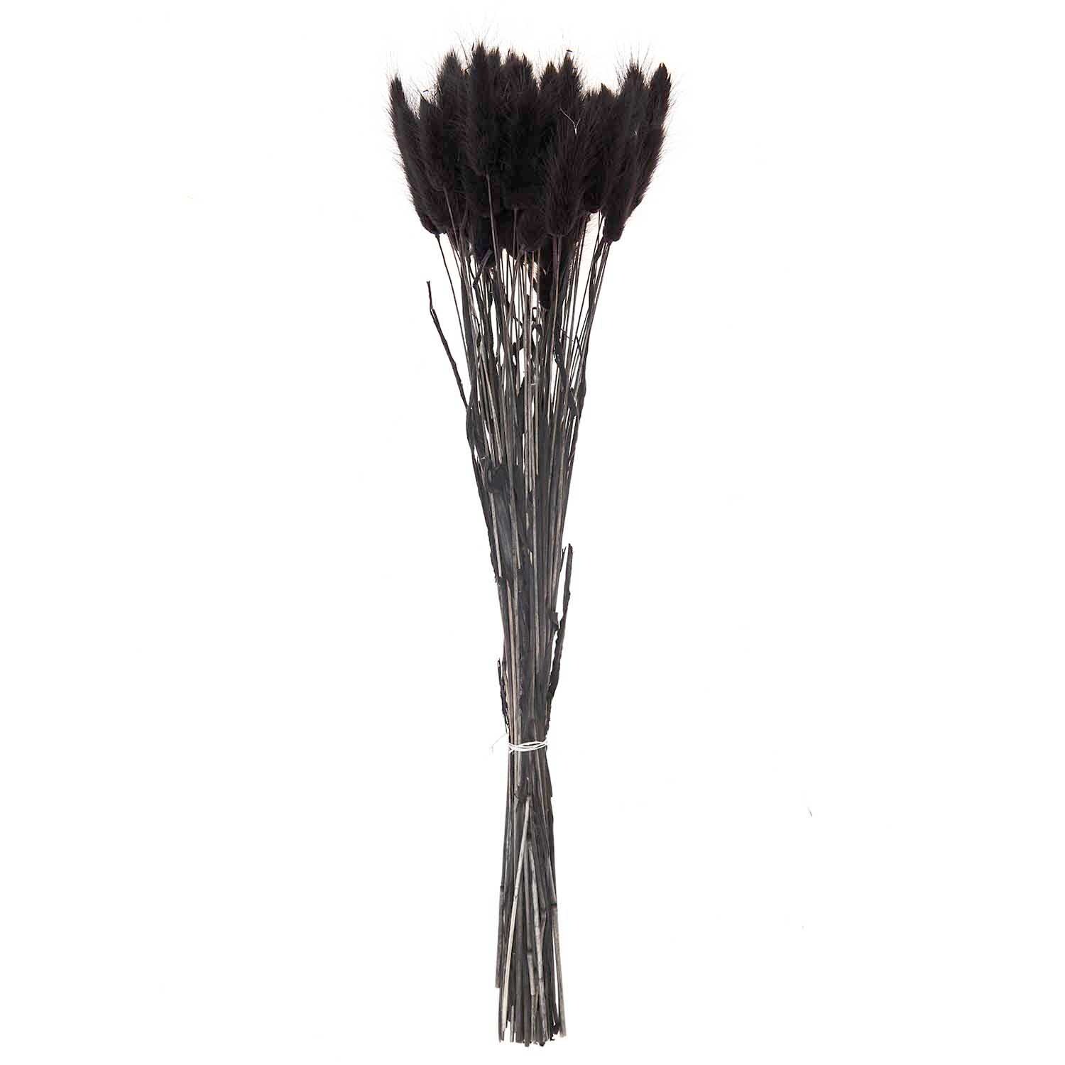 Getrockneter Lagurus schwarz ca. 40cm, 50 Stück von Rico Design. Eleganter Strauß schwarzer Trockenblumen.