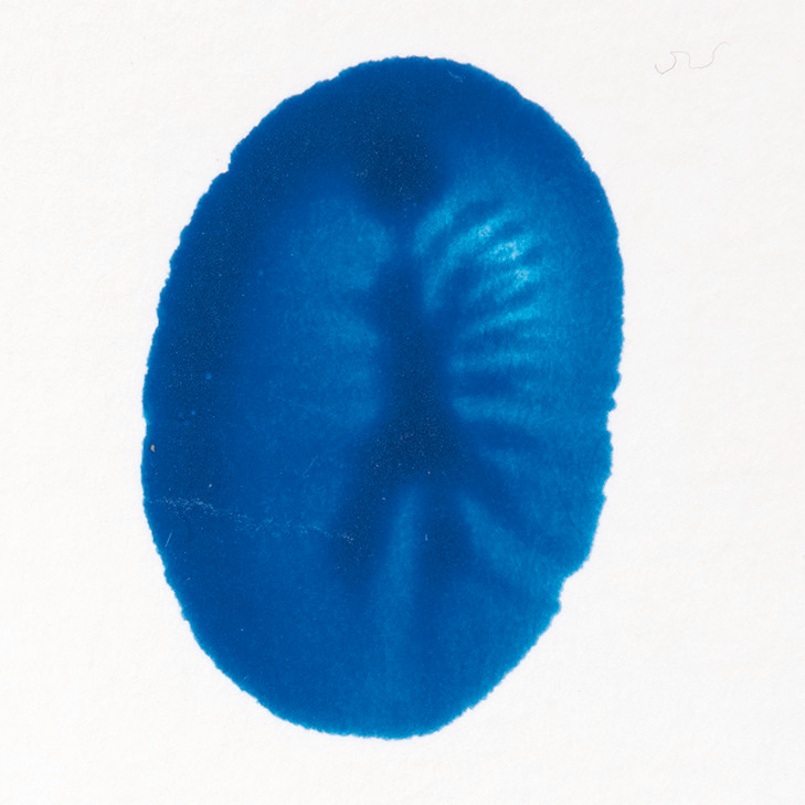 Fingerfarbe 100ml Farbe Blau von Rico Design