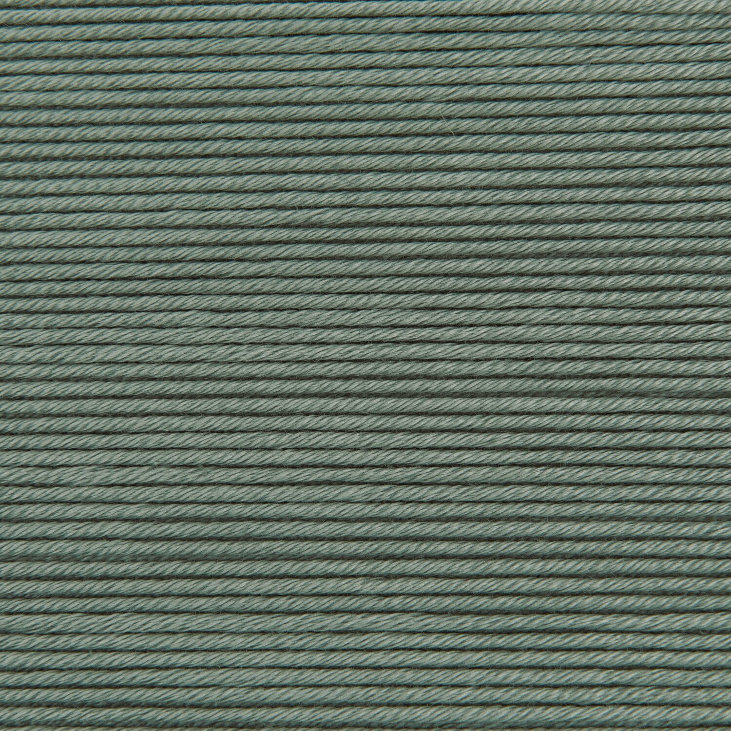 Wickelkarte des Garns Essentials Cotton dk in der Farbe 101 Salbei.
