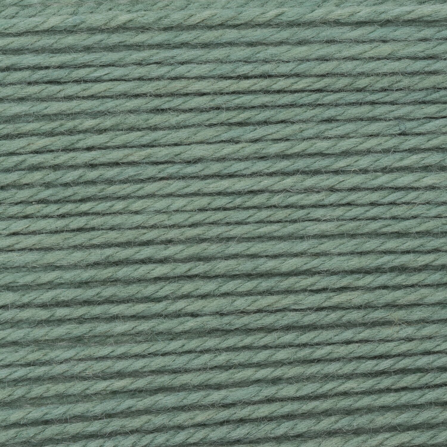 Wickelkarte des Garns Essentials Soft Merino aran in der Farbe 040 Lind.