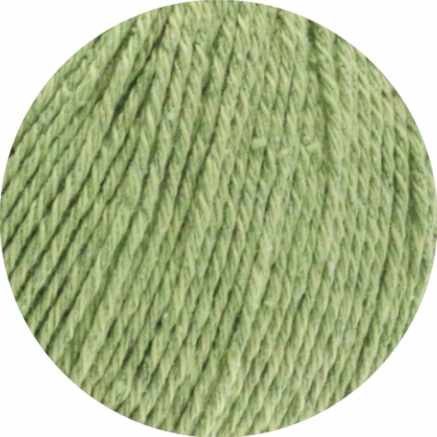 Landlust Sommerseide uni 50g 170m Farbe Zartgrün von LANA GROSSA Mode mit Wolle Handels- und Vertriebs 
