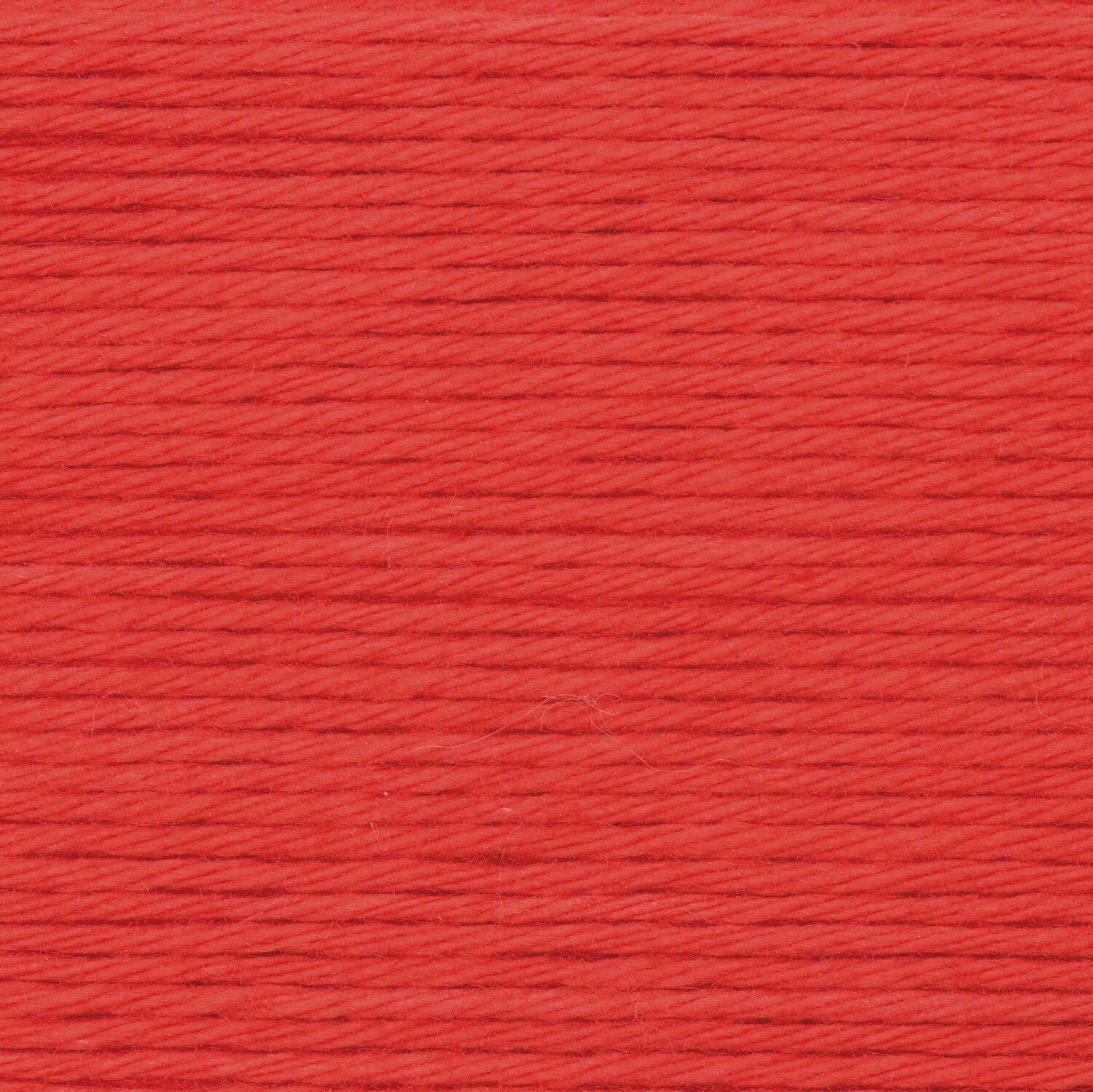 Rot