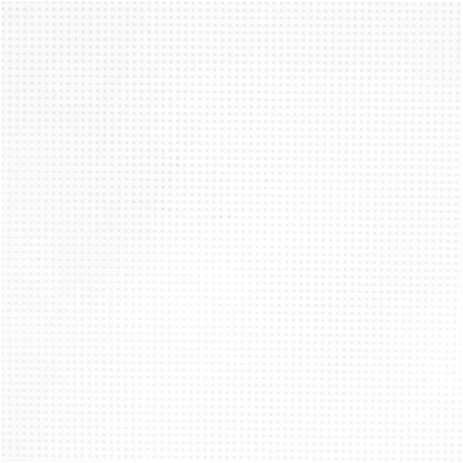 Plastikstramin 11x14cm 1 Stück von Rico Design, ideal für kreative Projekte. Feine, weiße Struktur für vielseitige Anwendungen.