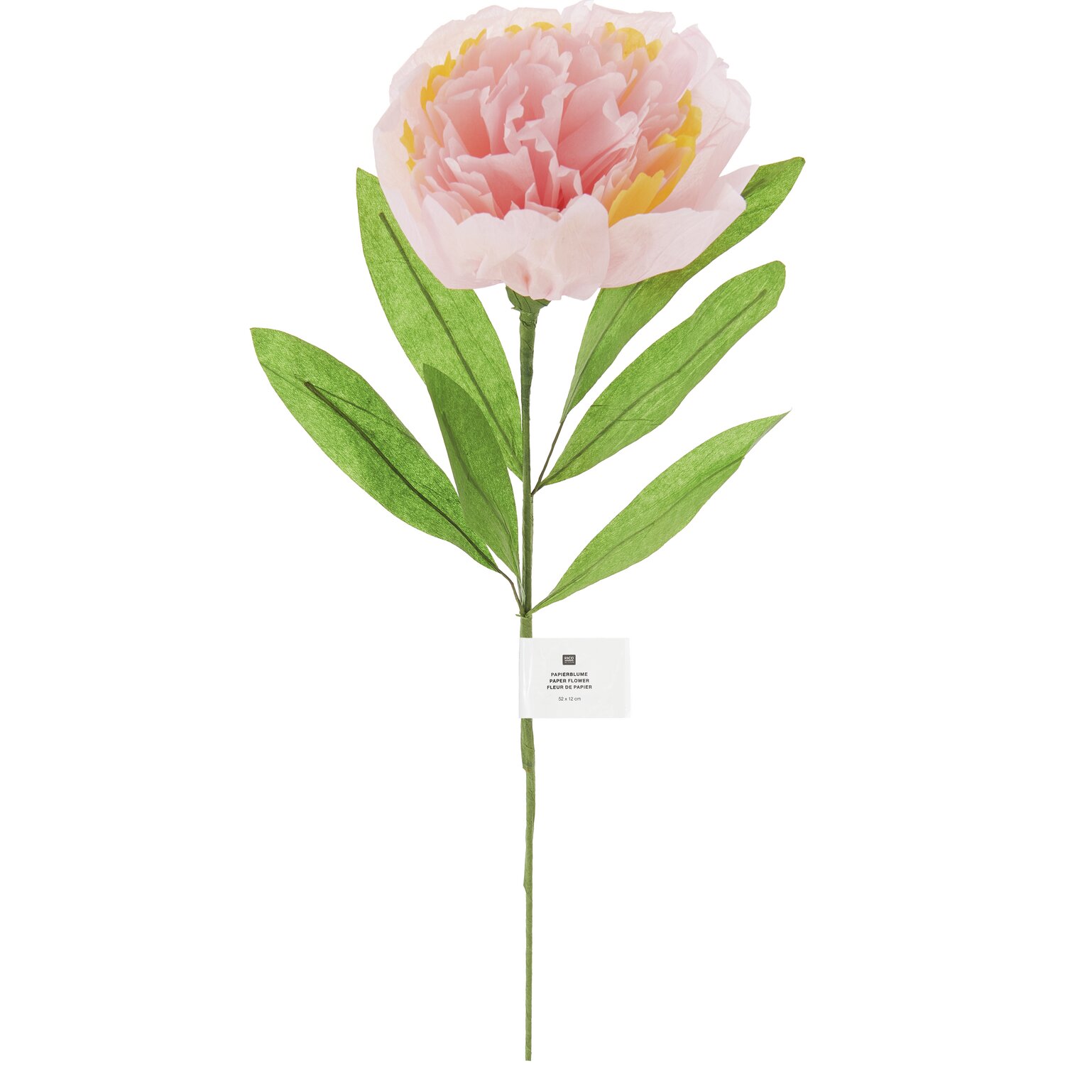 Papierblume Paeonie gefüllt 52x12cm Farbe Rosa von Rico Design