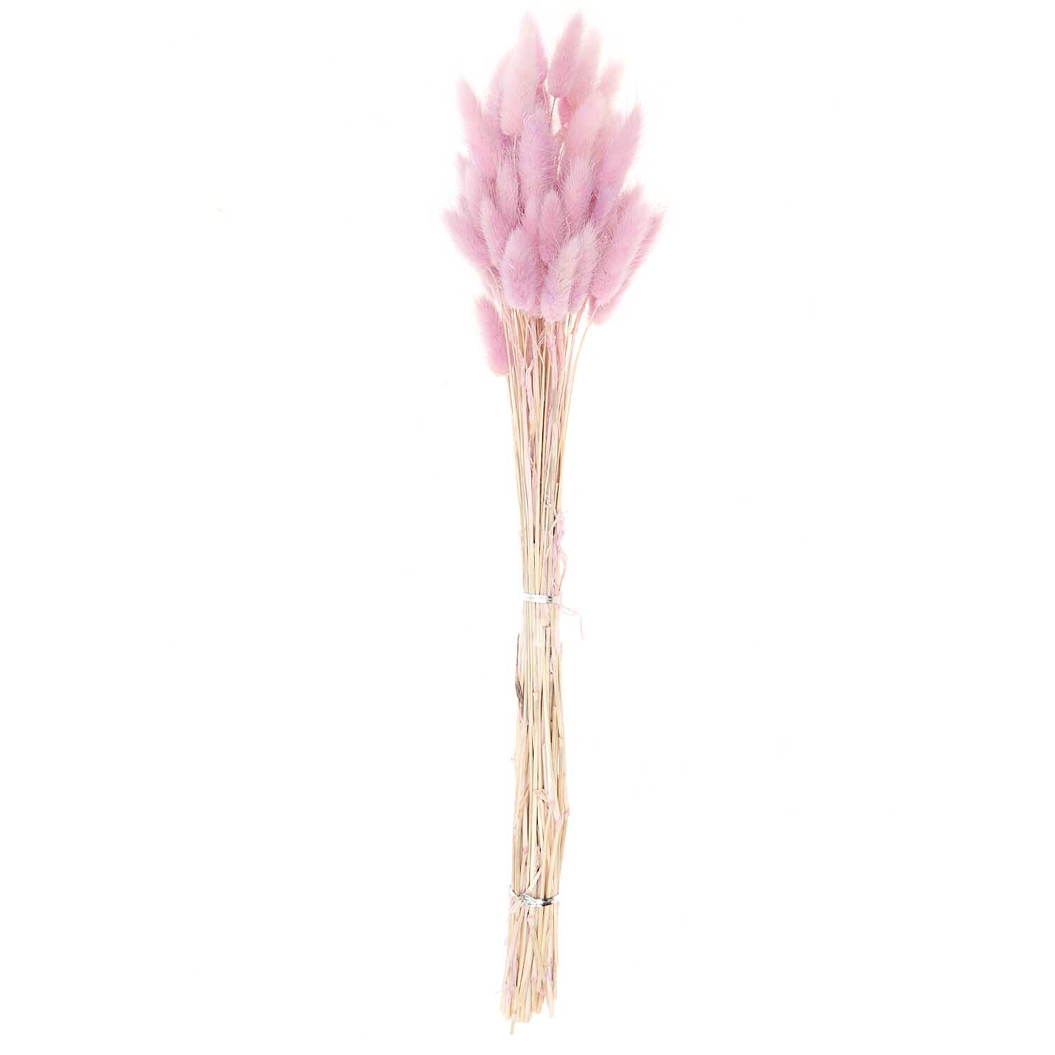 Getrockneter Lagurus flieder ca. 40cm 50 Stück von Rico Design. Zartes, fliederfarbenes Trockenblumenbündel, ideal für Dekorationen.