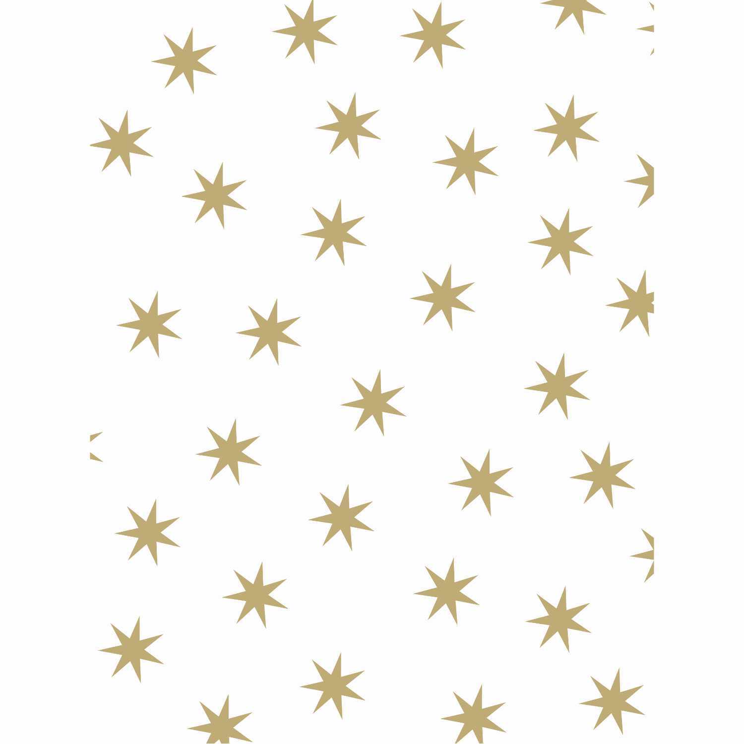Fotokarton mit goldenen Sternen auf weißem Hintergrund, ideal für kreative Bastelprojekte.