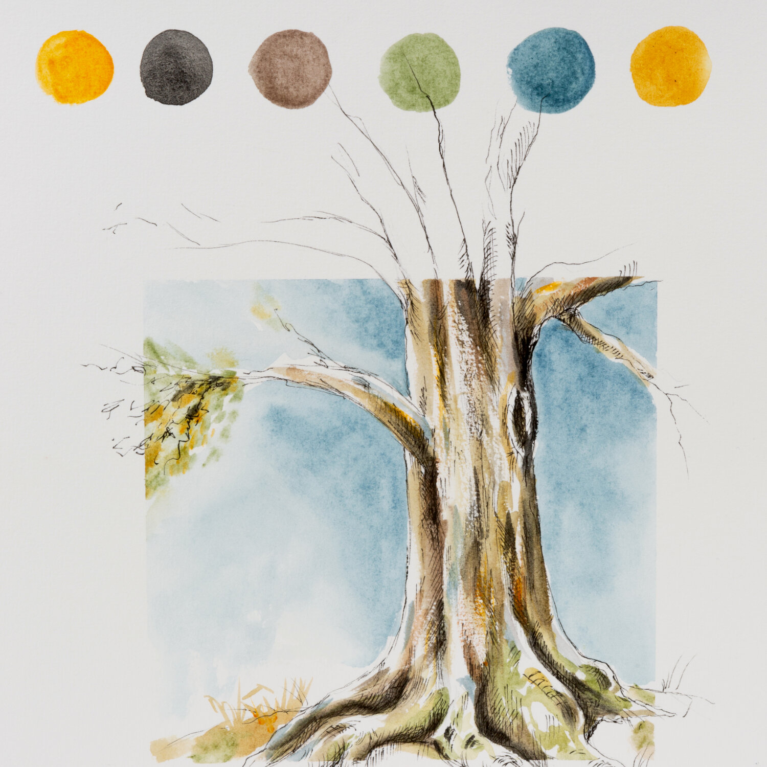 Horadam Naturals: Aquarellfarben von Schmincke, illustriert durch einen Baum mit sechs Farbtönen.