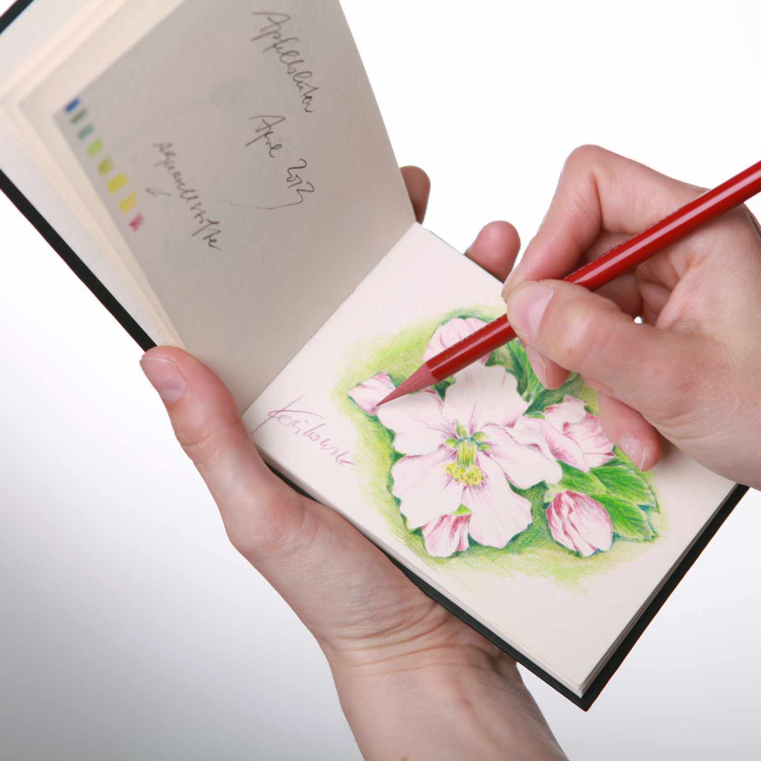 Skizzenbuch D&S 140g/m² 80 Blatt von Hahnemühle, geöffnet mit einer Zeichnung von rosa Blüten.