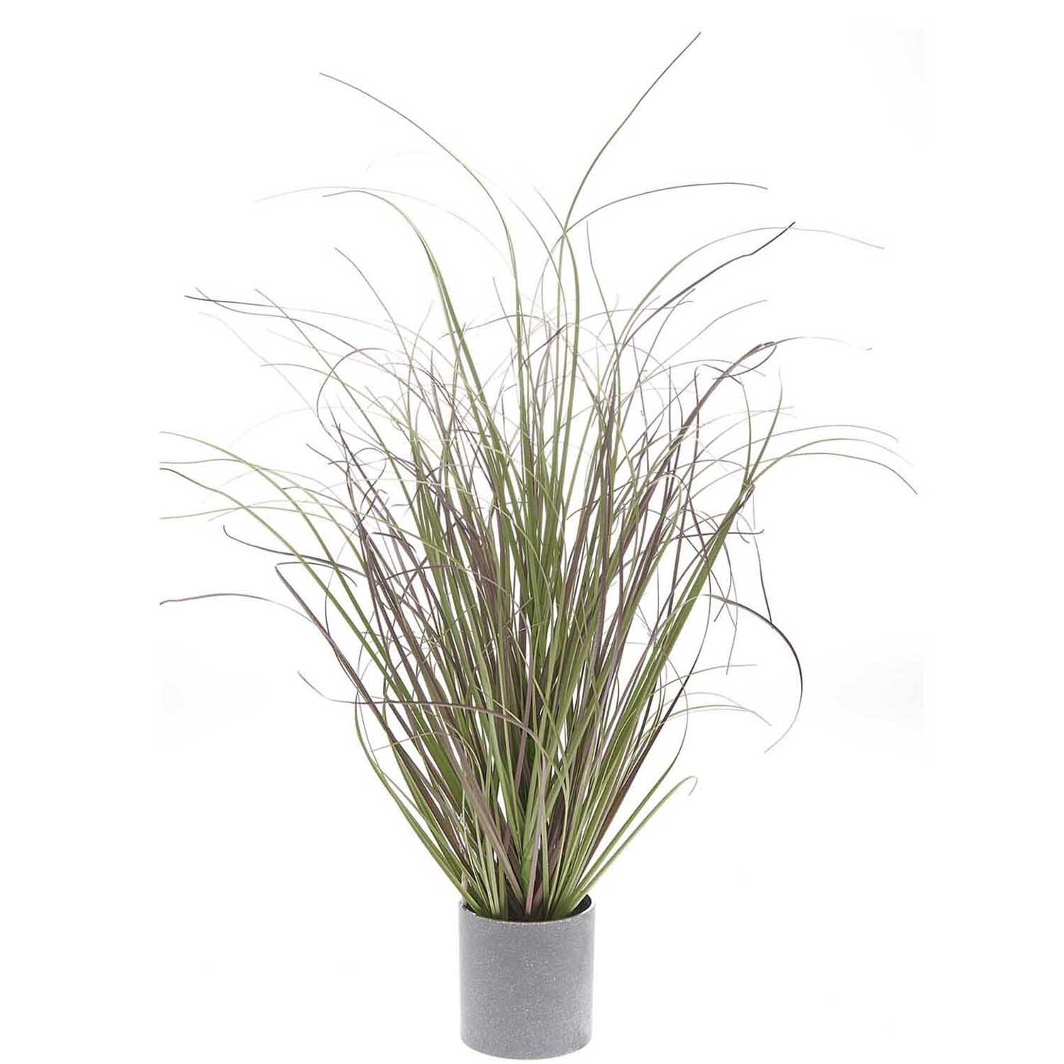 Dünengras im Topf 53cm von Rico Design, dekoratives Gras in einem schlichten, grauen Pflanzgefäß. Ideal für moderne Innenräume.