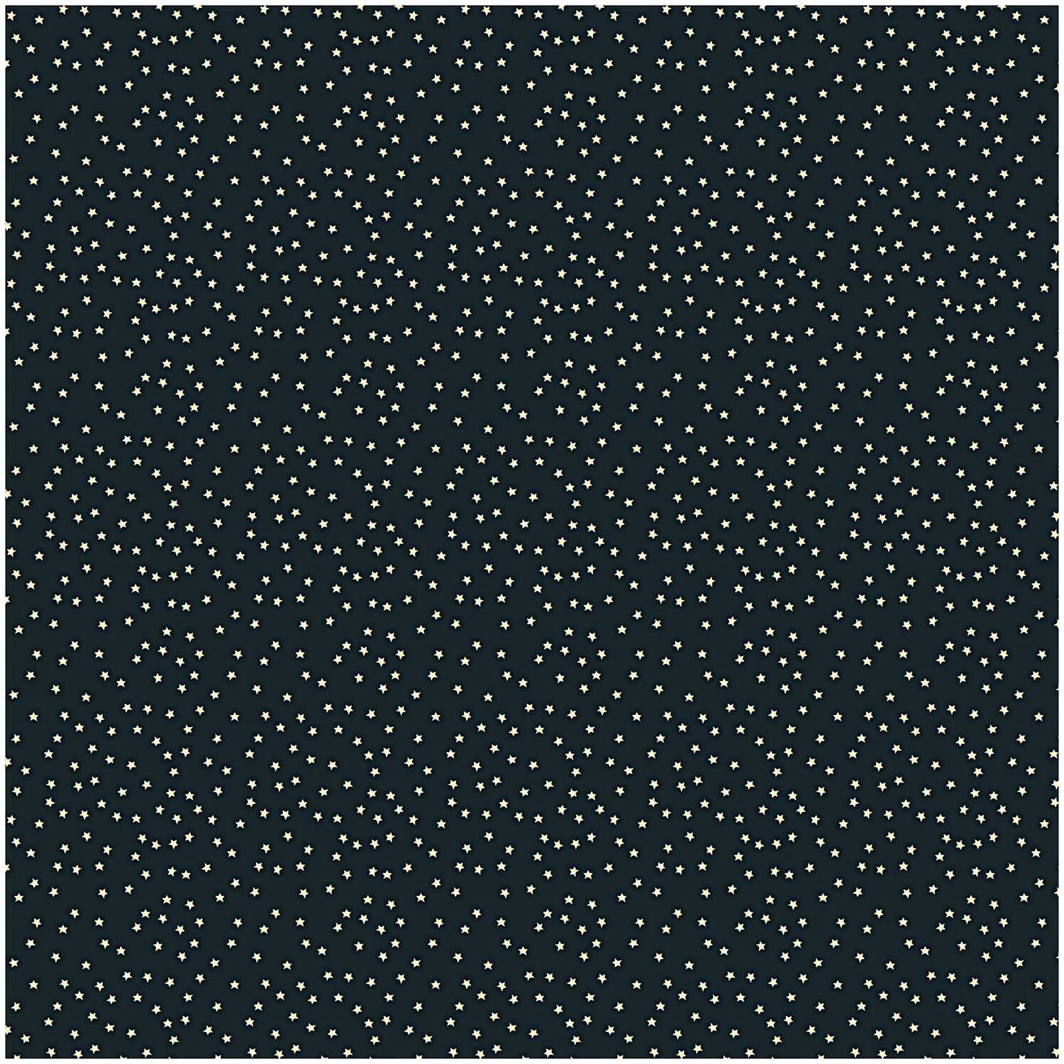 Stoff Sterne schwarz-natur 140cm zeigt ein Muster aus kleinen, weißen Sternen auf schwarzem Hintergrund. Ideal für kreative Nähprojekte.