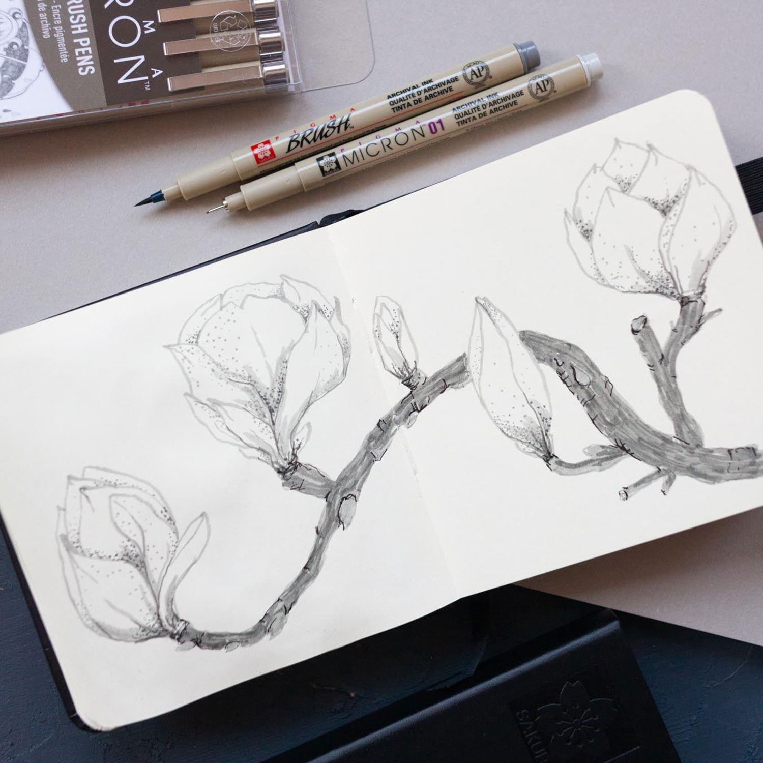 Das Bild zeigt ein offenes Skizzenbuch mit einer Zeichnung von Magnolienzweigen, erstellt mit dem Sakura Pigma Micron Fineliner Set in Kaltgrau. Zwei Stifte liegen daneben.