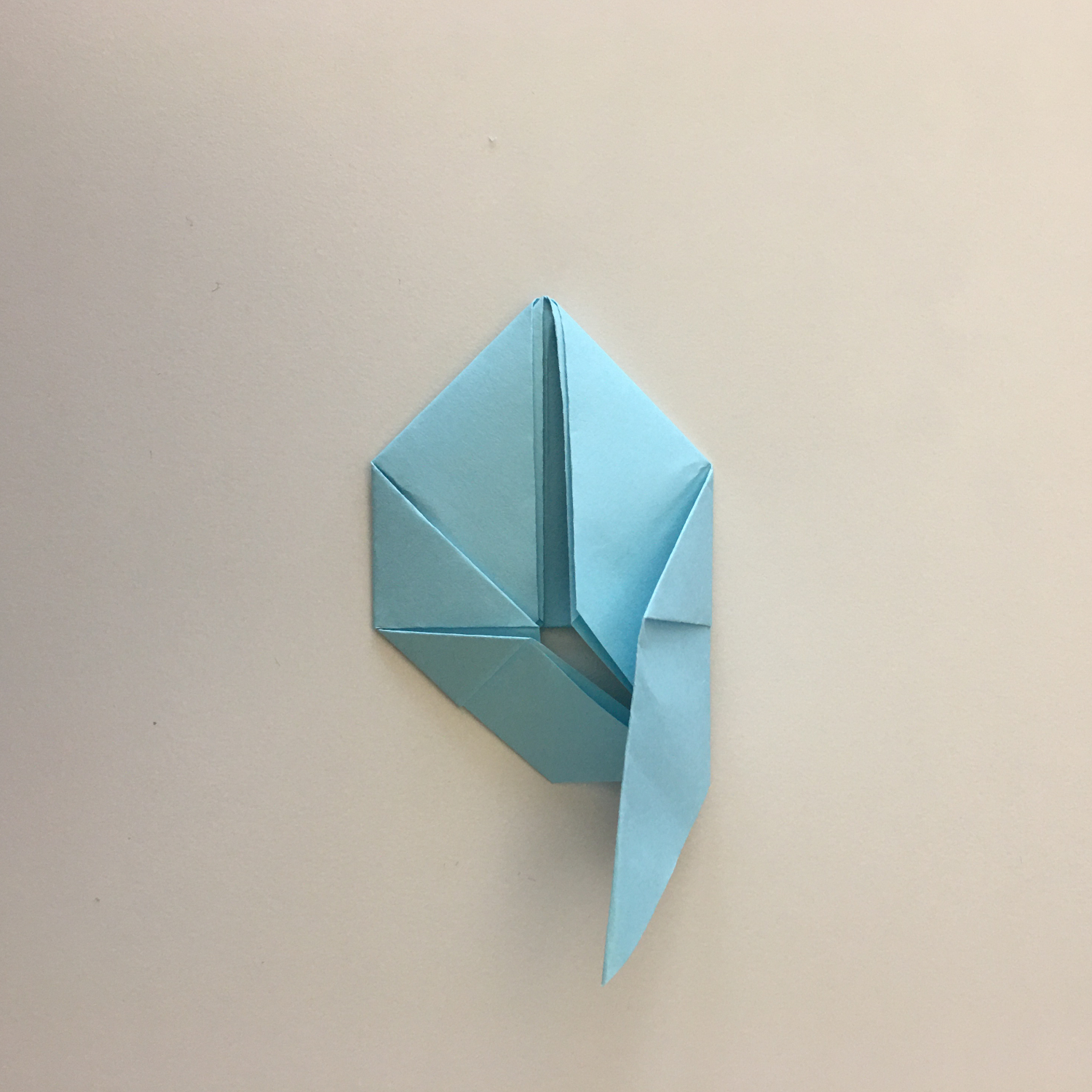 Step 5